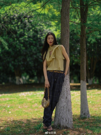 Liu Wen
