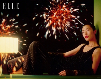 Liu Wen