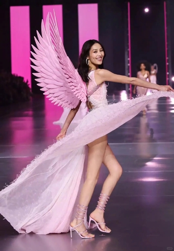 Liu Wen