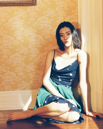 Liu Wen