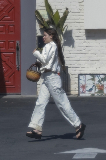 Scout Willis