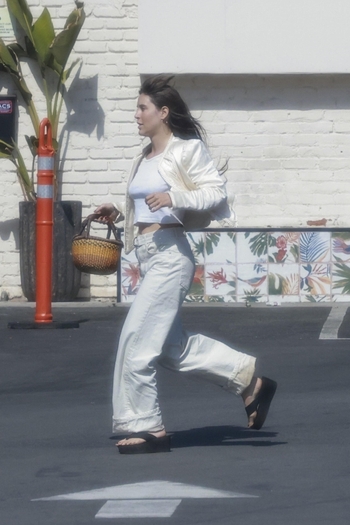 Scout Willis