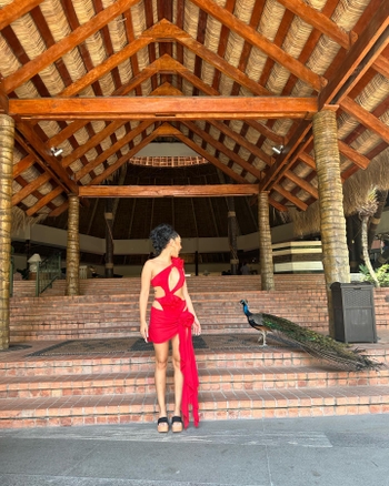 Cely Vazquez