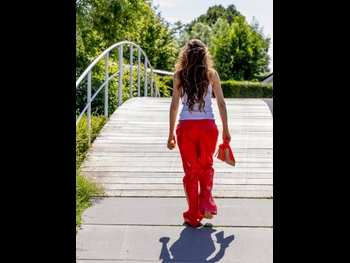  alt="Iris Hond"