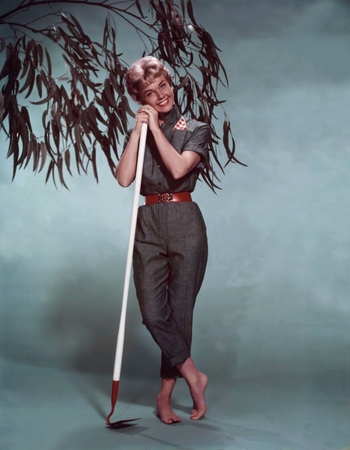 Doris Day (I)