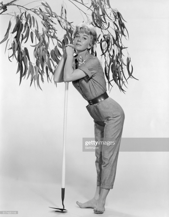 Doris Day (I)