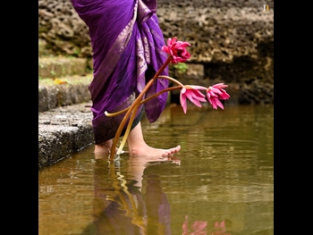  alt="Malavikka"