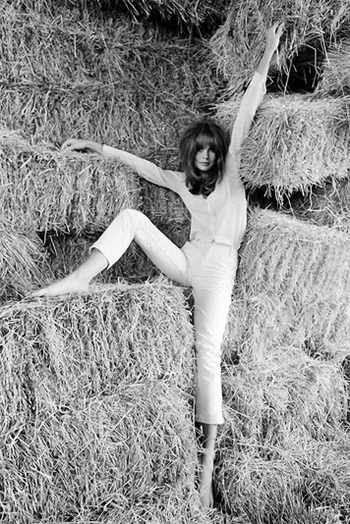 Jean Shrimpton