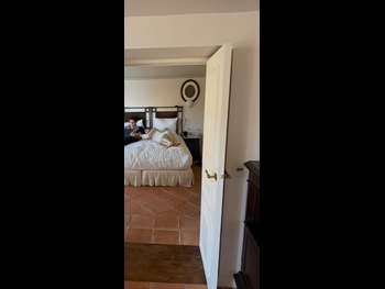  alt="Ines Camilla Tazi"