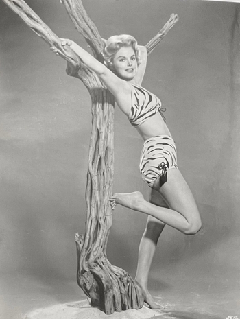 Barbara Lang