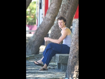  alt="Shawn Mendes"