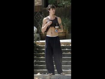  alt="Shawn Mendes"