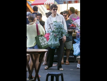  alt="Shawn Mendes"