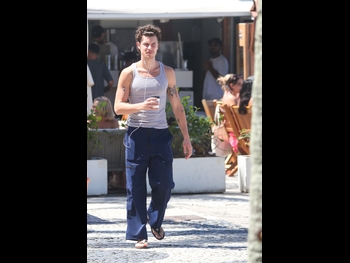  alt="Shawn Mendes"