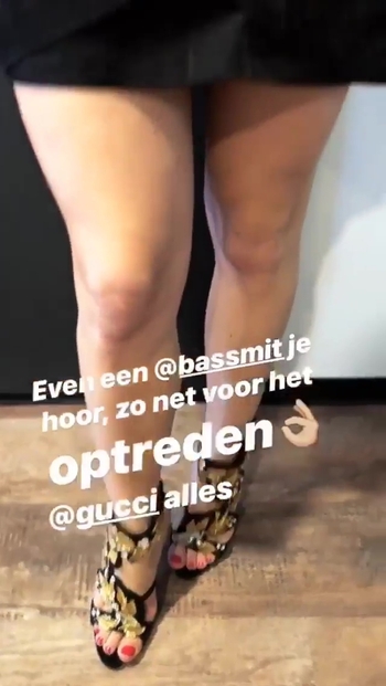 Dominique van Hulst