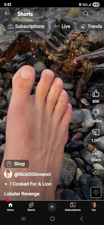 Nick DiGiovanni