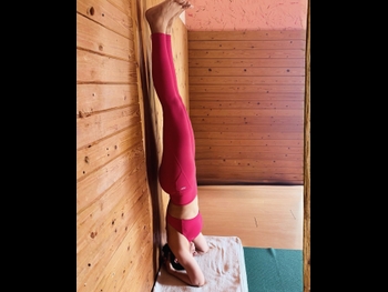  alt="Nimrat Kaur"