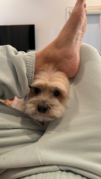 Anjelah Johnson-Reyes