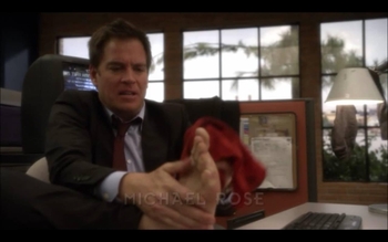 Michael Weatherly