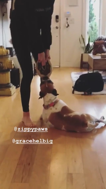 Grace Helbig