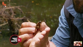 Coyote Peterson