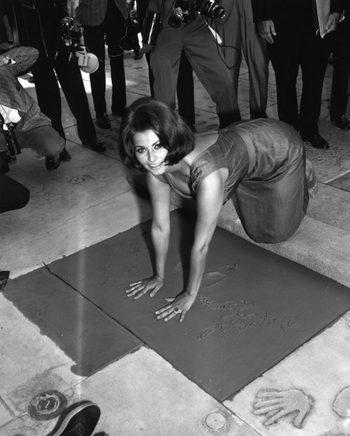 Sophia Loren
