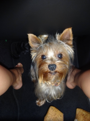 Maria Panayotova Kirova