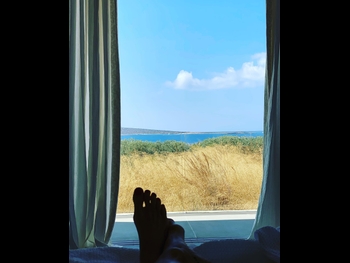  alt="Mareva Galanter"