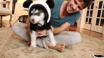 Joey Graceffa