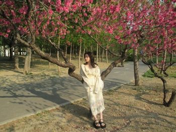 Chaoyue Yang