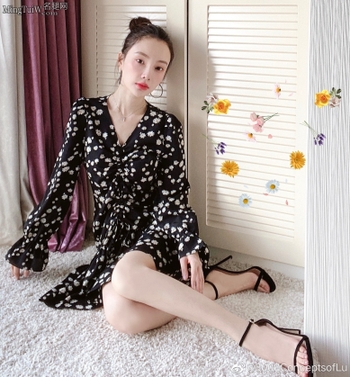 Xiaolu Li