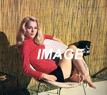 Tuesday Weld