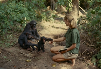 Jane Goodall