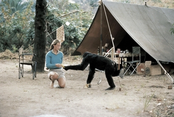 Jane Goodall