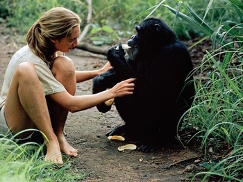 Jane Goodall