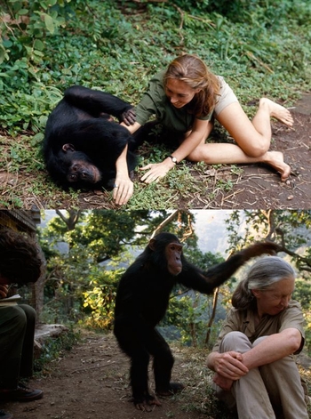 Jane Goodall