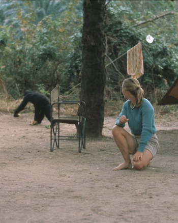 Jane Goodall