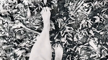 Ylfa Edelstein