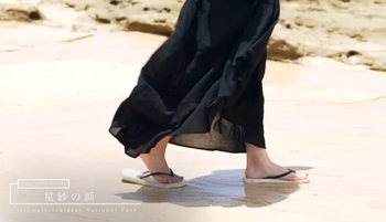 Ko Shibasaki