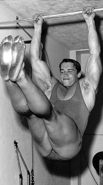 Arnold Schwarzenegger