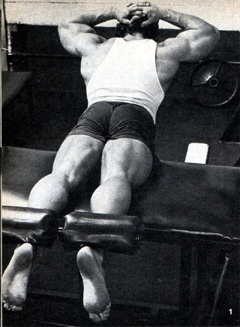 Arnold Schwarzenegger