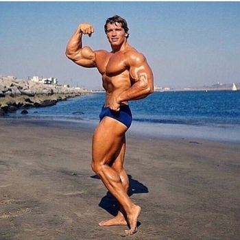 Arnold Schwarzenegger