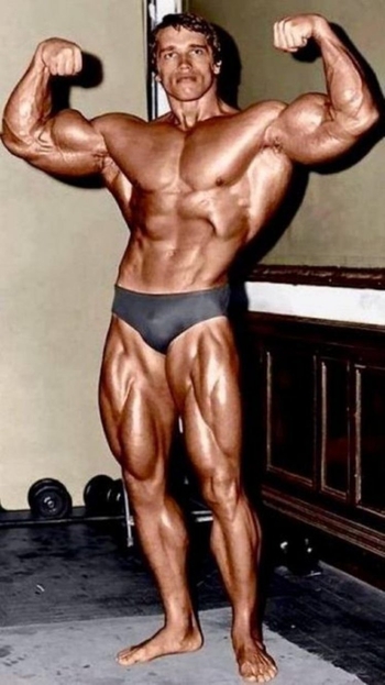 Arnold Schwarzenegger