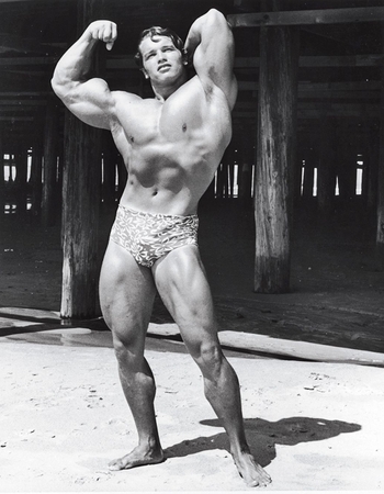 Arnold Schwarzenegger