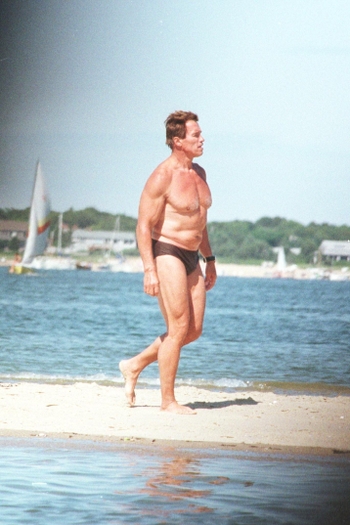 Arnold Schwarzenegger