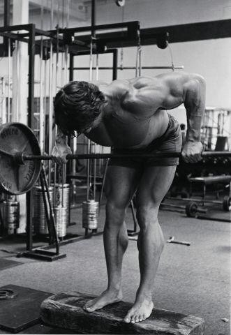 Arnold Schwarzenegger