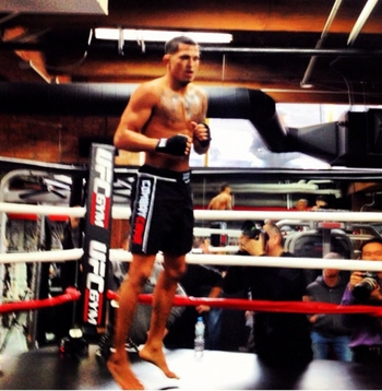 Anthony Pettis