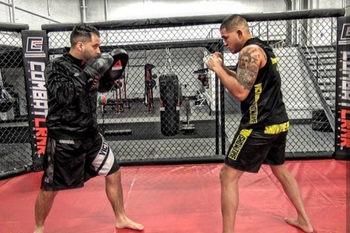 Anthony Pettis