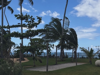 Kim Zolciak-Biermann