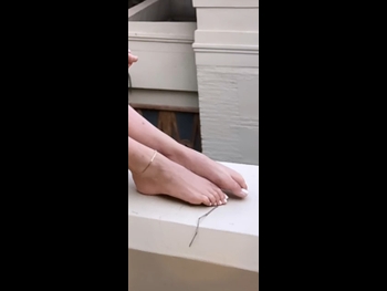 alt="Barbara Opsomer"